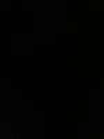 1000202089.webp