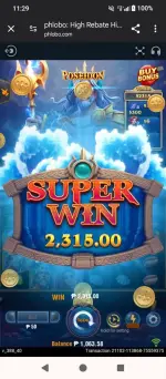 9291.webp