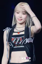 441.webp
