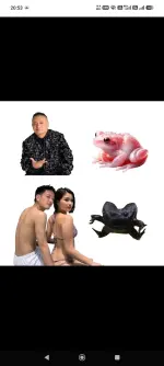 1000012248.webp
