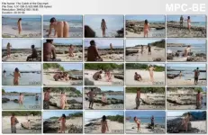 The-Catch-of-the-Day9b8f6756b6fac934.md.webp