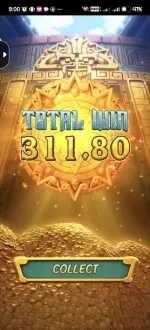51381.webp