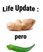 1792944502710.webp