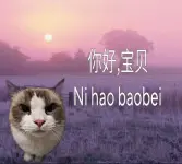 dfbb3e3bb70d496360096cbf2276b297.webp