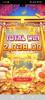 1000006210.webp