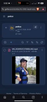 Screenshot_2026-10-27-17-50-04-893_com.brave.browser.webp