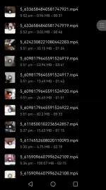 Screenshot_20261027_195144_com.huawei.filemanager_edit_50247094694301.webp