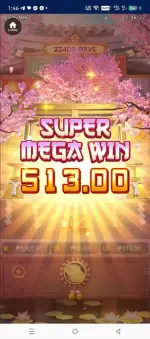 1000142614.webp
