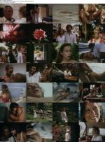 Tropische_Nachte_s.jpg Tropische_Nachte_s.jpg