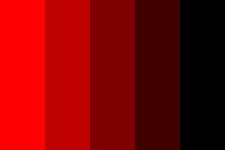 images.jpeg.png