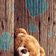 Teddy15