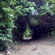 XaeyIx