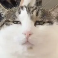 R u i j i