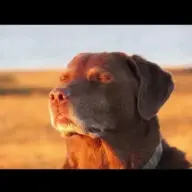 D4Ta