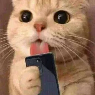 imapro