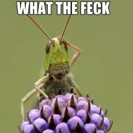 Azmodan7