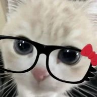 Kofi