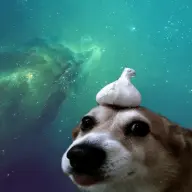 drkmantaray4xx1