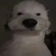 l_o_l_10