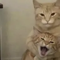 Hehez69