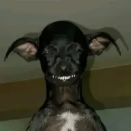BlackJubot69