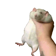 BooRat021