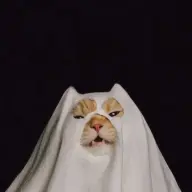itsyohan08