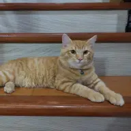 KuyaC
