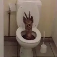 Poopzy123
