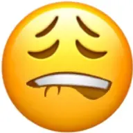 anjganjg