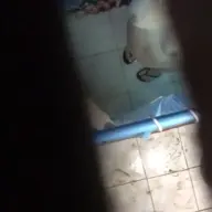 palautogg