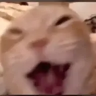 hulyoo