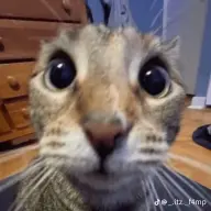 helpmyyok