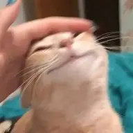 Nyawatski20