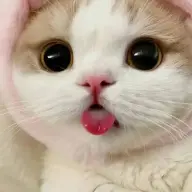 nyenyeizxc