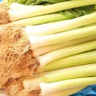 hunt4leeks