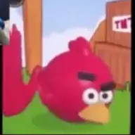 fufufafakntol