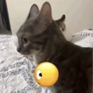 Bojackol67