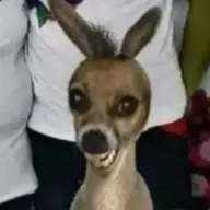 williametie