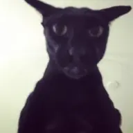 doookie12