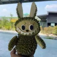 zkkyv