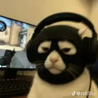 ALEX_01
