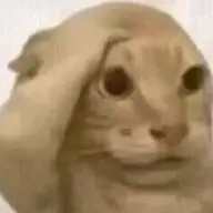 chimpansimp