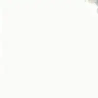 avv