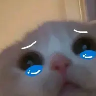 vlakray