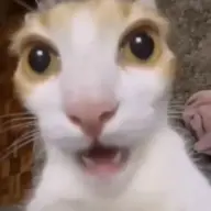 bahaynikuya