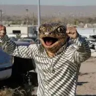 tuco salamander