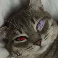 pablito