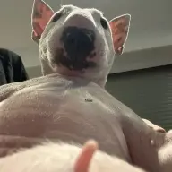 jkaljdhg