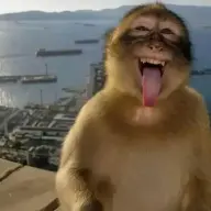 Asaaaarrrr_07